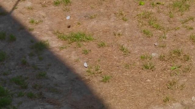 My day | Привожу жизнь в порядок| English*// Уход*// Медитация*// Тренировка*// balanc*#мотивация смотреть онлайн