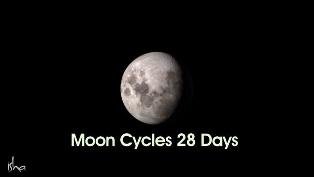 Surya Kriya смотреть онлайн