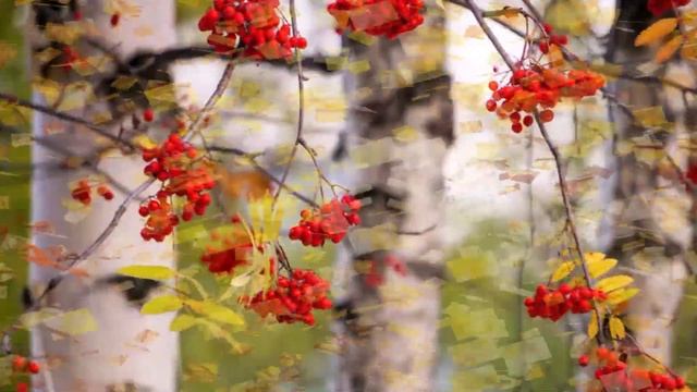 Уходит время осени смотреть онлайн