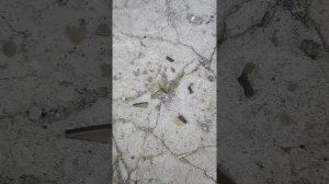 Не работает печка приоры с кондиционером панасоник