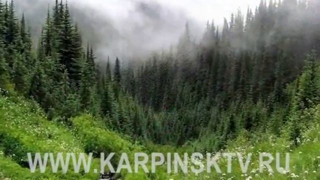 22 февраля - День Никифора и Панкратия смотреть онлайн