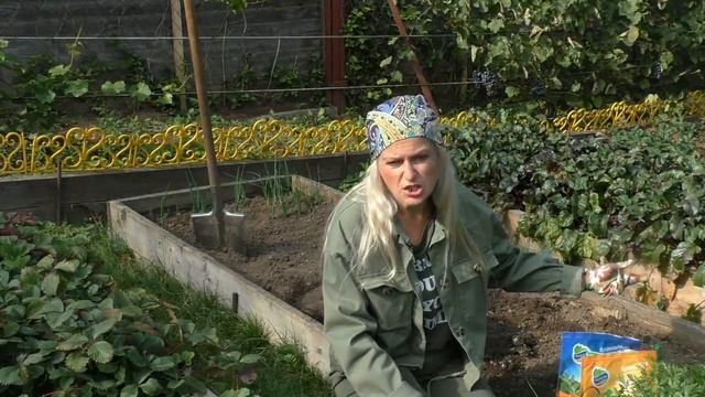 Ошибки при осеннем удобрении сада смотреть онлайн