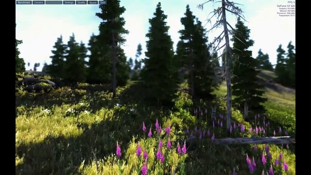 VGA NVIDIA® GeForce®GT 620 1GB 64-bit DDR3~BenchMark Test смотреть онлайн