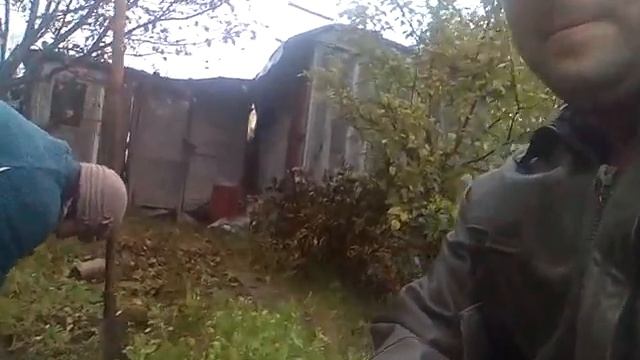 Г.Казань-Сад В Кадышево-Я Олег Гов-ю Ба Вале,Цв.Календулы Красив,Полезен-Не Пересажу,Пусть Растут смотреть онлайн