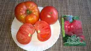 ?Томат "Ранняя Любовь". Отзыв.