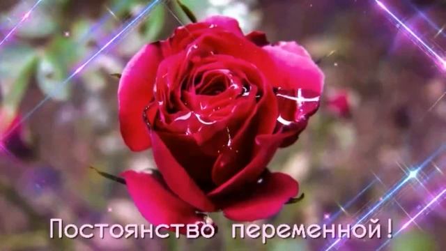 муз Сергея  Чекалина  -  Розы  Любимой подруге.