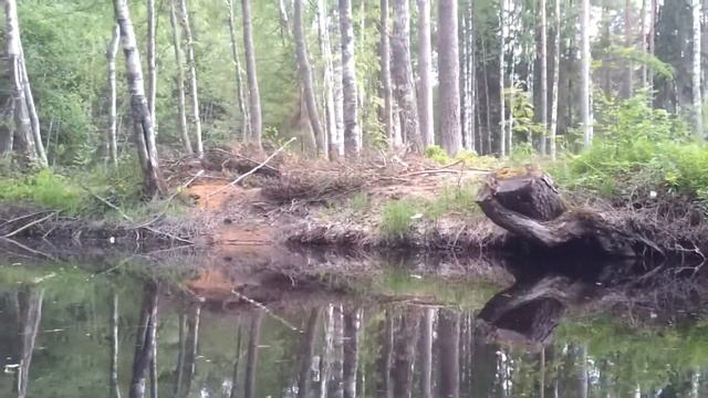 Протока от озера в Грузинку смотреть онлайн
