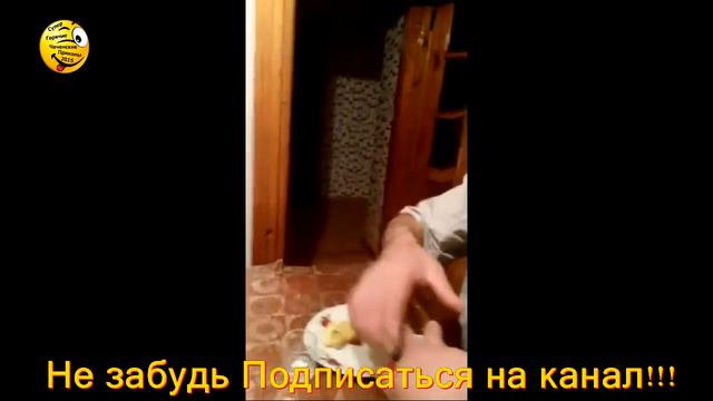 Слишком много выпил прикол смотреть онлайн