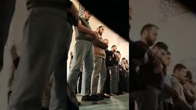 ТАРОБЕХ 4_КУН МОСКВА ПРОСПЕКТ МИРА смотреть онлайн