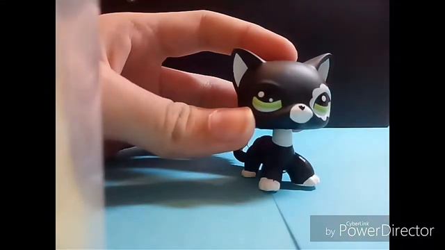 Посылка :с кошечками стоячками( смотреть онлайн