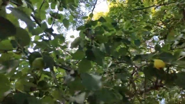 Урожай рядом смотреть онлайн