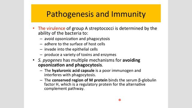 bacteriology lec 5 streptococcus смотреть онлайн