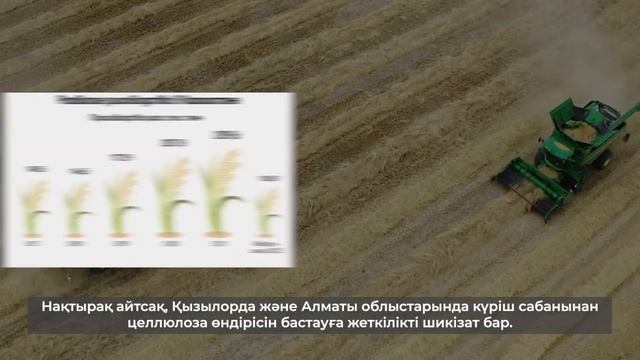 Производство целлюлозы из рисовой соломы. #ПСБ2022 смотреть онлайн