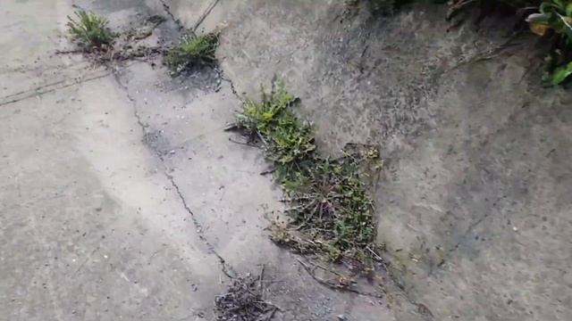 Митсубиши делика, Замена пужин заднего моста. смотреть онлайн