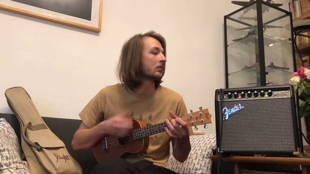 Flight DUC523CEQ ukulele demo смотреть онлайн