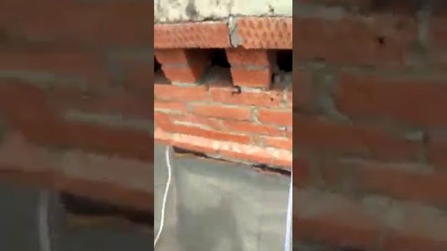 Чистка вентиляционного канала смотреть онлайн