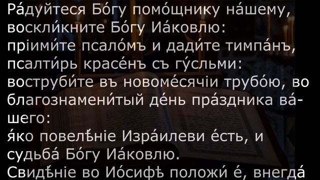 СНИМАЕМ ВЕНЕЦ БЕЗБРАЧИЯ. ОТЧИТКА смотреть онлайн