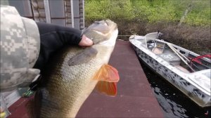 Зашел в затишек, а там хороший Окунь...Щука в прилове!