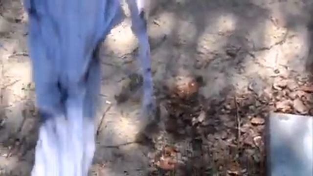 10 мая всё пошло не по плану. Занималась уборкой внутри. Огурцы поливала водой из магазина. смотреть онлайн
