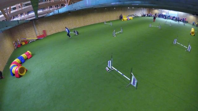 Д0 (2 трасса)_eMotion Dog School_Кочетова Елена 01.04.2018 смотреть онлайн