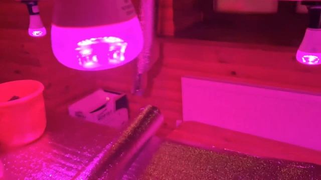 Строительные Мотивы