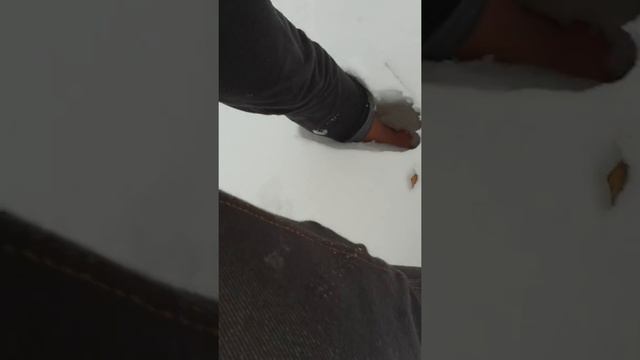 Спокойно-Спокойно, Ведем Себя Достойно: зачем вербу рубить, если можно вербы ветку посадить. смотреть онлайн