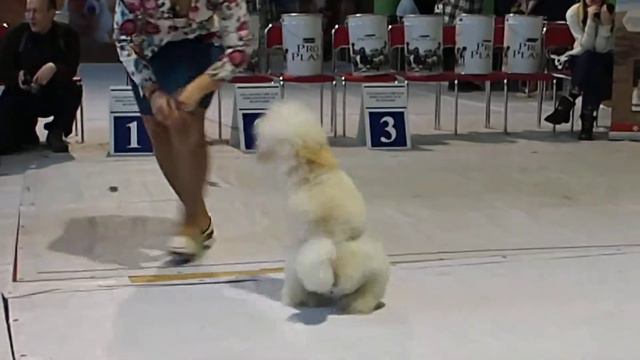 ГЕЯ НИКС ГЛАВНЫЙ ВЫБОР))) смотреть онлайн