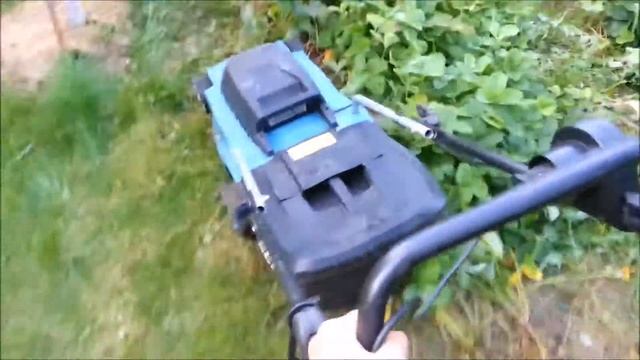 Уход за клубникой после плодоношения. Обрезаем клубнику. смотреть онлайн