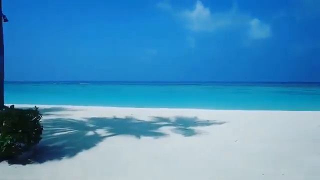 Пляж на Сейшелах Paradise Beach Seychelles