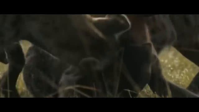 Самые жуткие схватки животных в дикой природе Часть2!!!