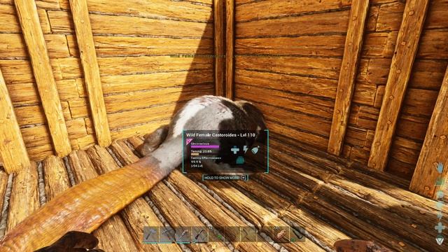 ARK Survival ascended CZ/SK #08 - Doedicurus , Castoroides смотреть онлайн