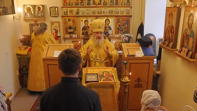 Проповедь в неделю 23-ю по Пятидесятнице 28 ноября 2021 года смотреть онлайн