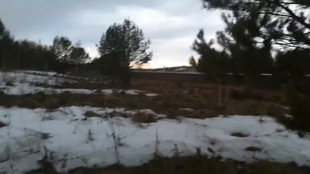 КОСУЛЯ больше не убежит в лес!!!! УЖАС смотреть онлайн