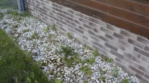 Современная, эффективная и супер экономичная отмостка из гравия с плантером