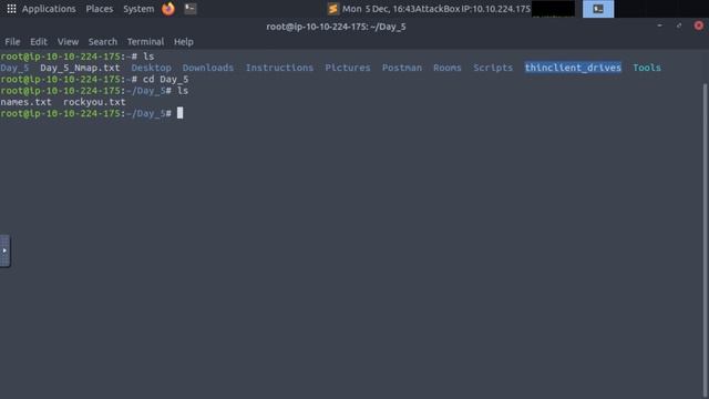 TryHackMe Advent Of Cyber 2022 - Day 5 - Brute Force Password Attacks смотреть онлайн