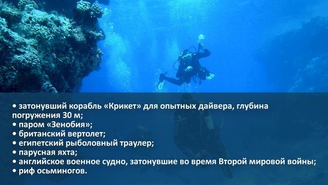 Кулинарные Угощения для Гостей