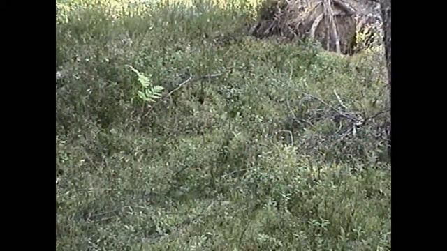 Пено 2002. Часть 3. смотреть онлайн