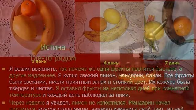 Почему фрукты портятся? смотреть онлайн