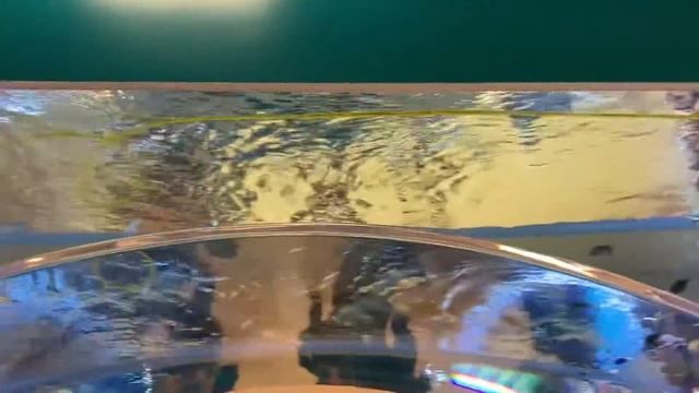 Как почистить аквариум смотреть онлайн