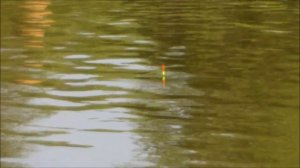 Херабуна.Тесты удилищ 5.4м.Карп.