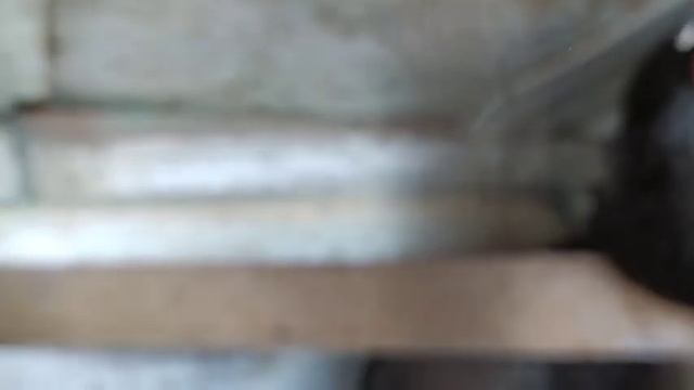 идеальный курятник! + свинарник своими женскими руками! мой влог о деревенской жизни смотреть онлайн