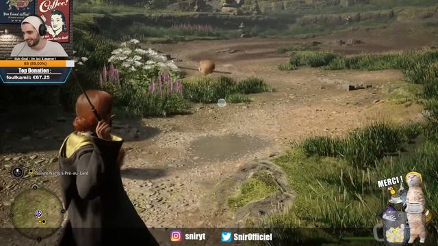 [🔴LIVE] Hogwarts Legacy - On recommence le jeu : Nouvelle MAISON ! 🎓🔥 [DIMANCHE 20H-23H] смотреть онлайн