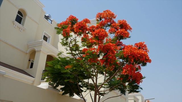 Сыновья и внучки Исмагила Шангареева провожают месяц Рамадан смотреть онлайн