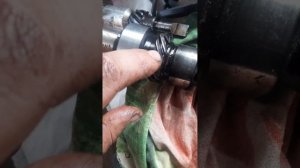 грет вол сафе [ распредвал]