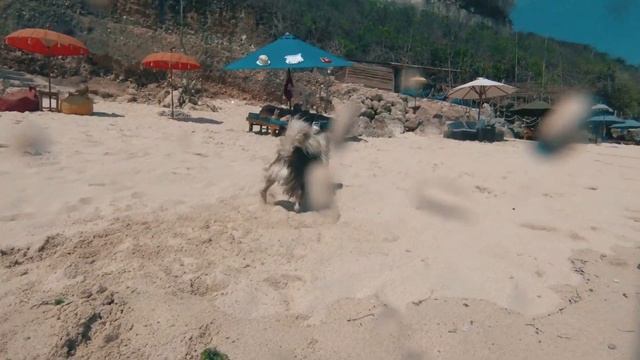 ФОТОГРАФ на Бали / ВИДЕО | Снимаю в Индонезии .Фото и Видеосъёмка - Свадеб, love-Story семейный смотреть онлайн