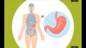 Человеческое Тело | Строение Тела | Мультик Для Детей