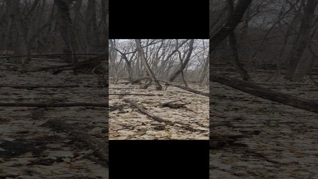 VID_20230319_130940~2 смотреть онлайн