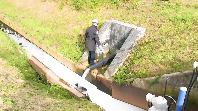 Забор проб воды. Полигон токсичных отходов "Красный Бор". 16 сентября 2022 года. смотреть онлайн