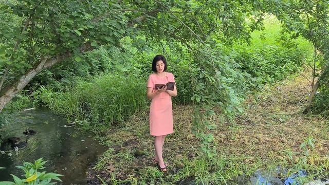 Часовни Пушкинского Заповедника смотреть онлайн