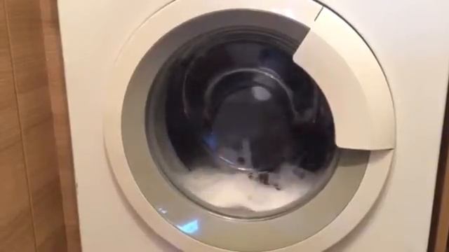 Bosch Logixx 8 Easy Care 60